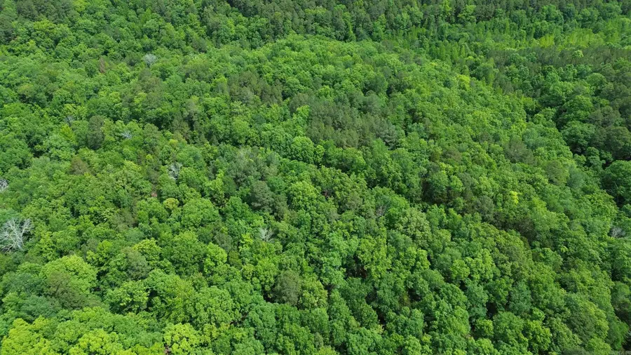 000 East Mountain Road, Bee Branch, AR 72013 - #3