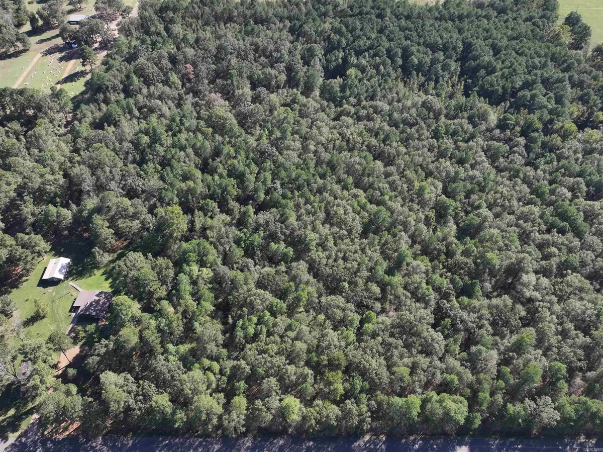 XXX Central Road, Horatio, AR 71842 - #1
