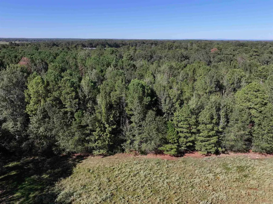 XXX Central Road, Horatio, AR 71842 - #3