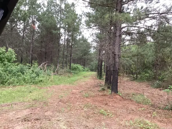 1935 Hwy 24, Prescott, AR 71857
