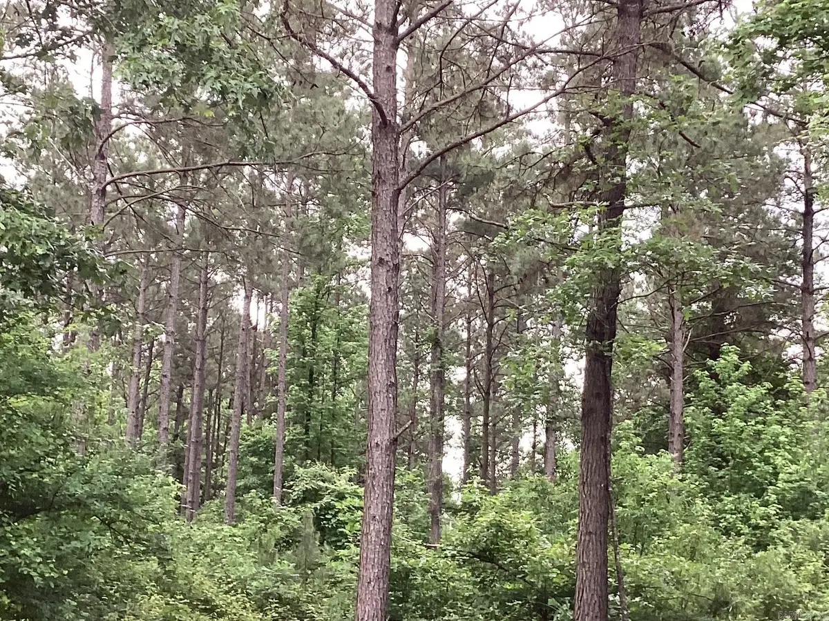 00 Hwy 24, Prescott, AR 71857 - #1