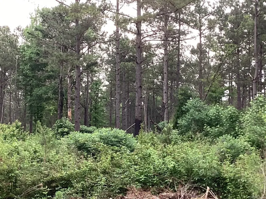00 Hwy 24, Prescott, AR 71857 - #3