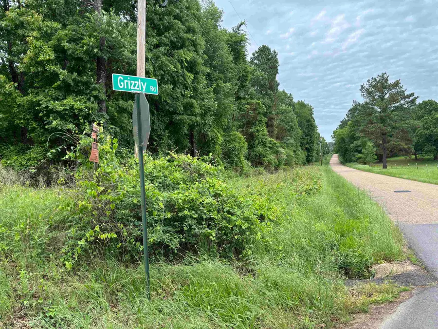 1400 Old Bear Road, Royal, AR 71968 - #2