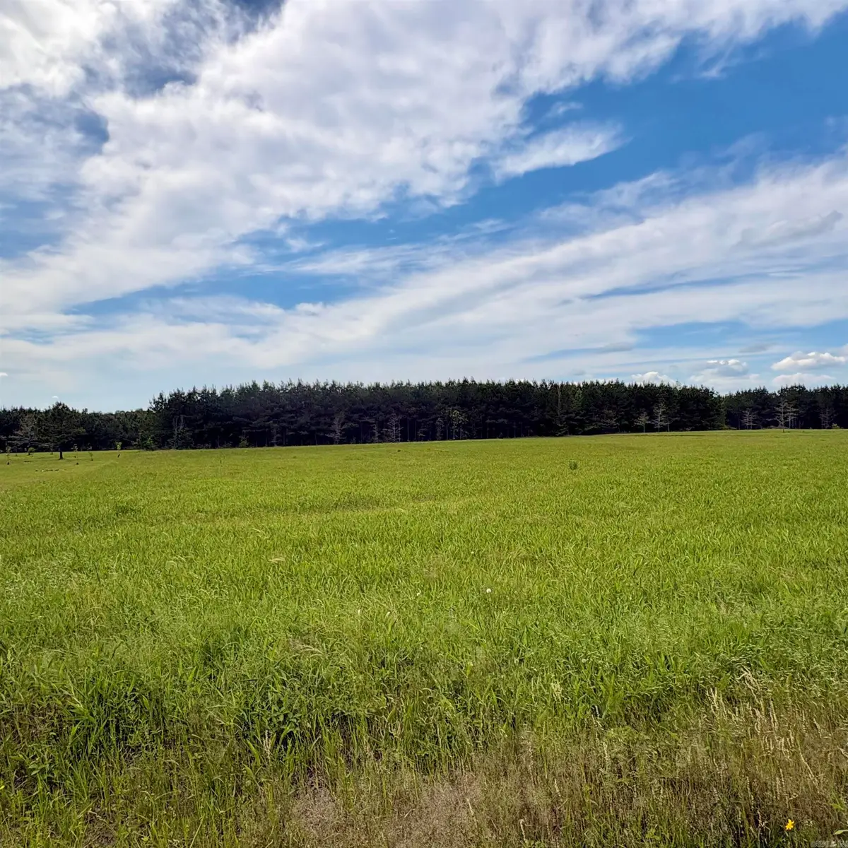 3785 Grant 9, Sheridan, AR 72150 - #1