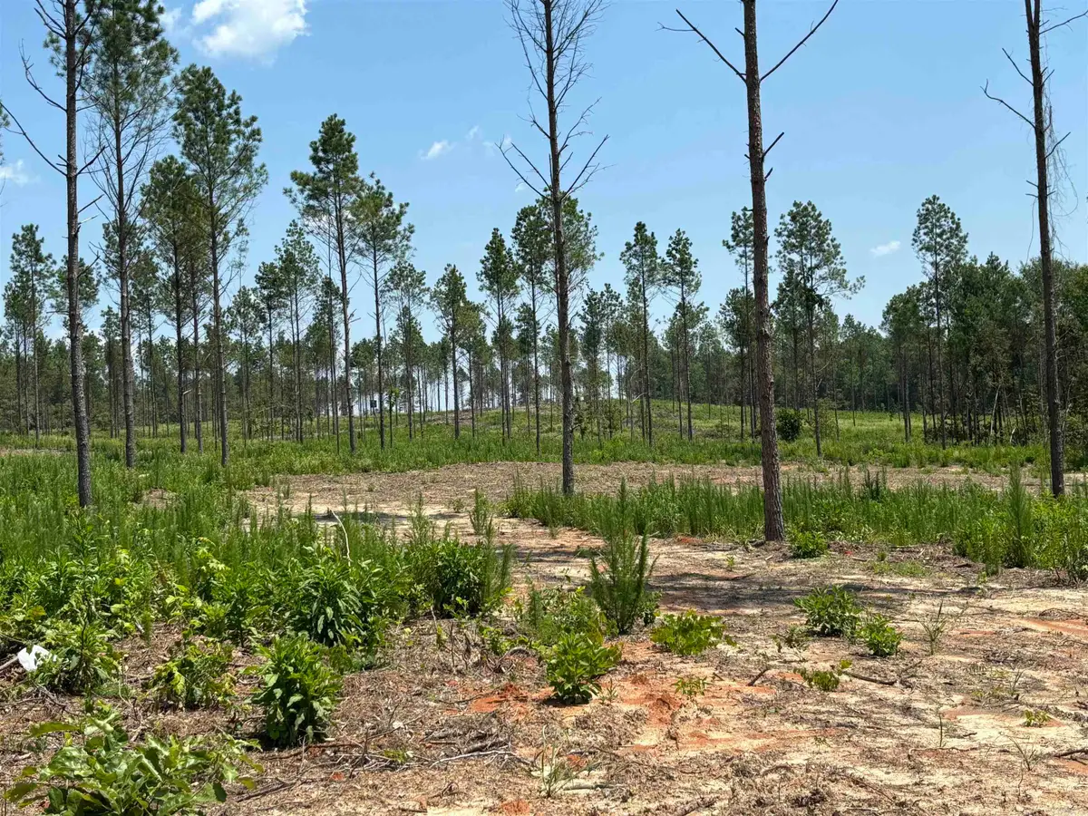0 Grant 43 (e), Sheridan, AR 72150 - #1