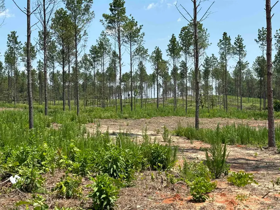 0 Grant 43 (e), Sheridan, AR 72150 - #2