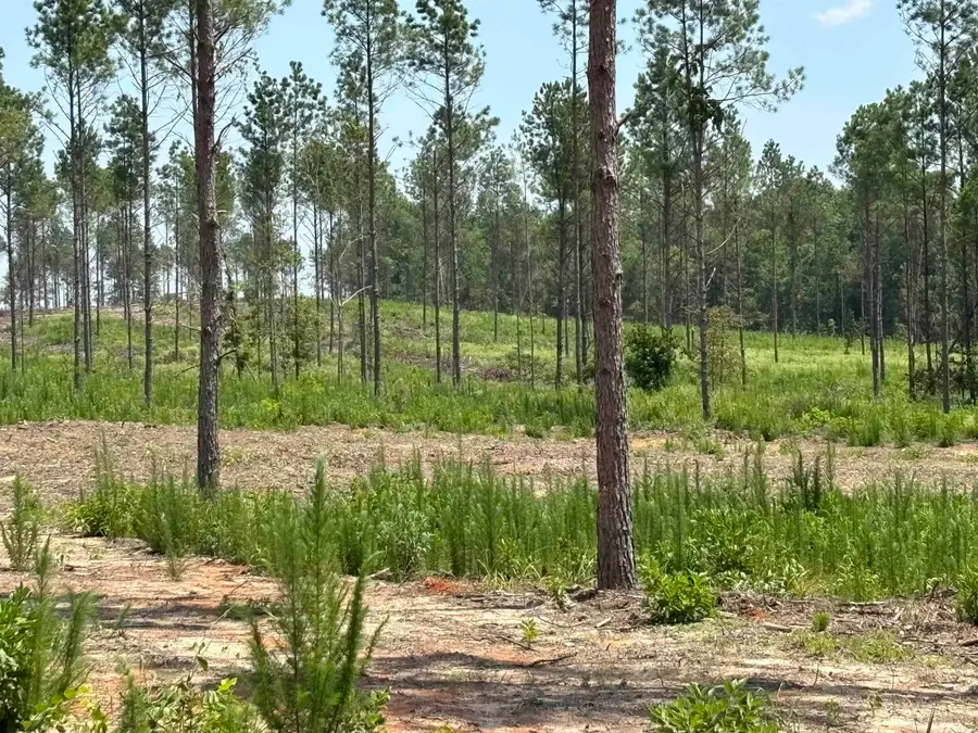 0 Grant 43 (e), Sheridan, AR 72150 - #3