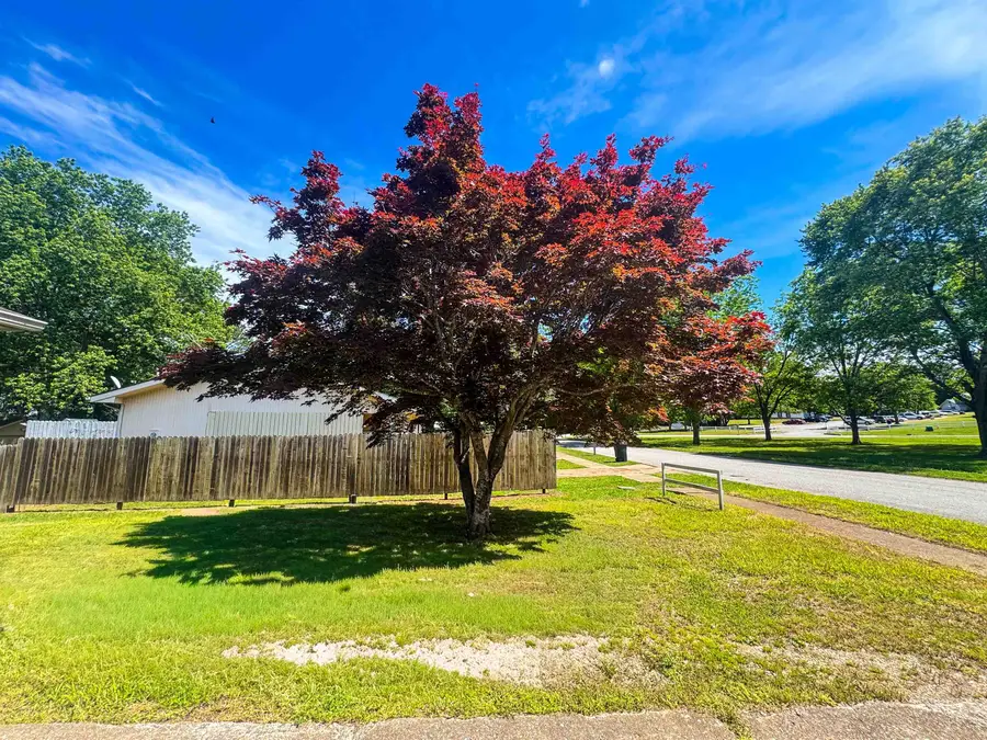 20 Diane Avenue, Ash Flat, AR 72513 - #2
