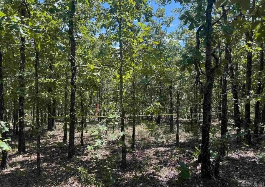 Lot 54 7 Lakes Ranch Estates, Conway, AR 72032 - #2