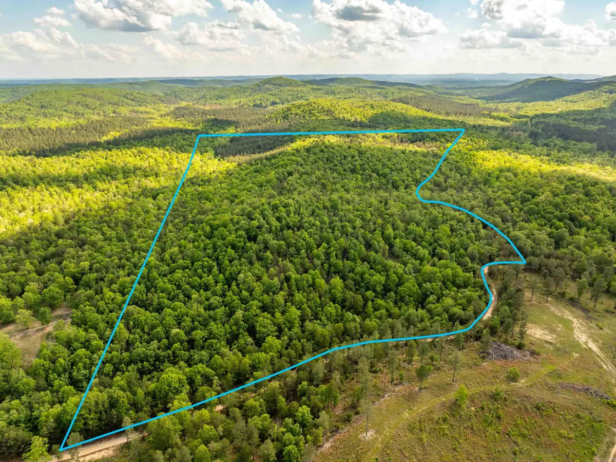 RPID 115120 Cedar Creek Road, Hot Springs, AR 71913 - #1