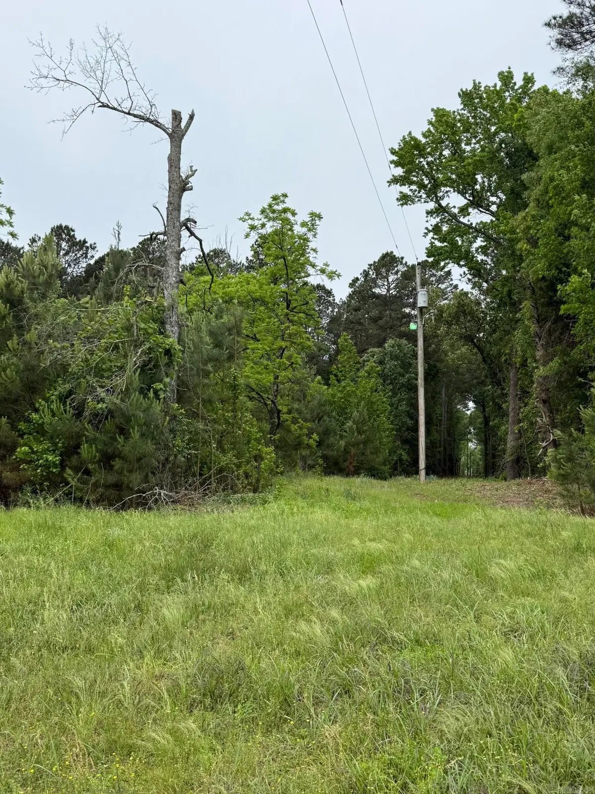 TBD Hwy 278 W, Dierks, AR 71833 - #1