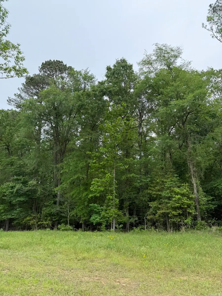 TBD Hwy 278 W, Dierks, AR 71833 - #2