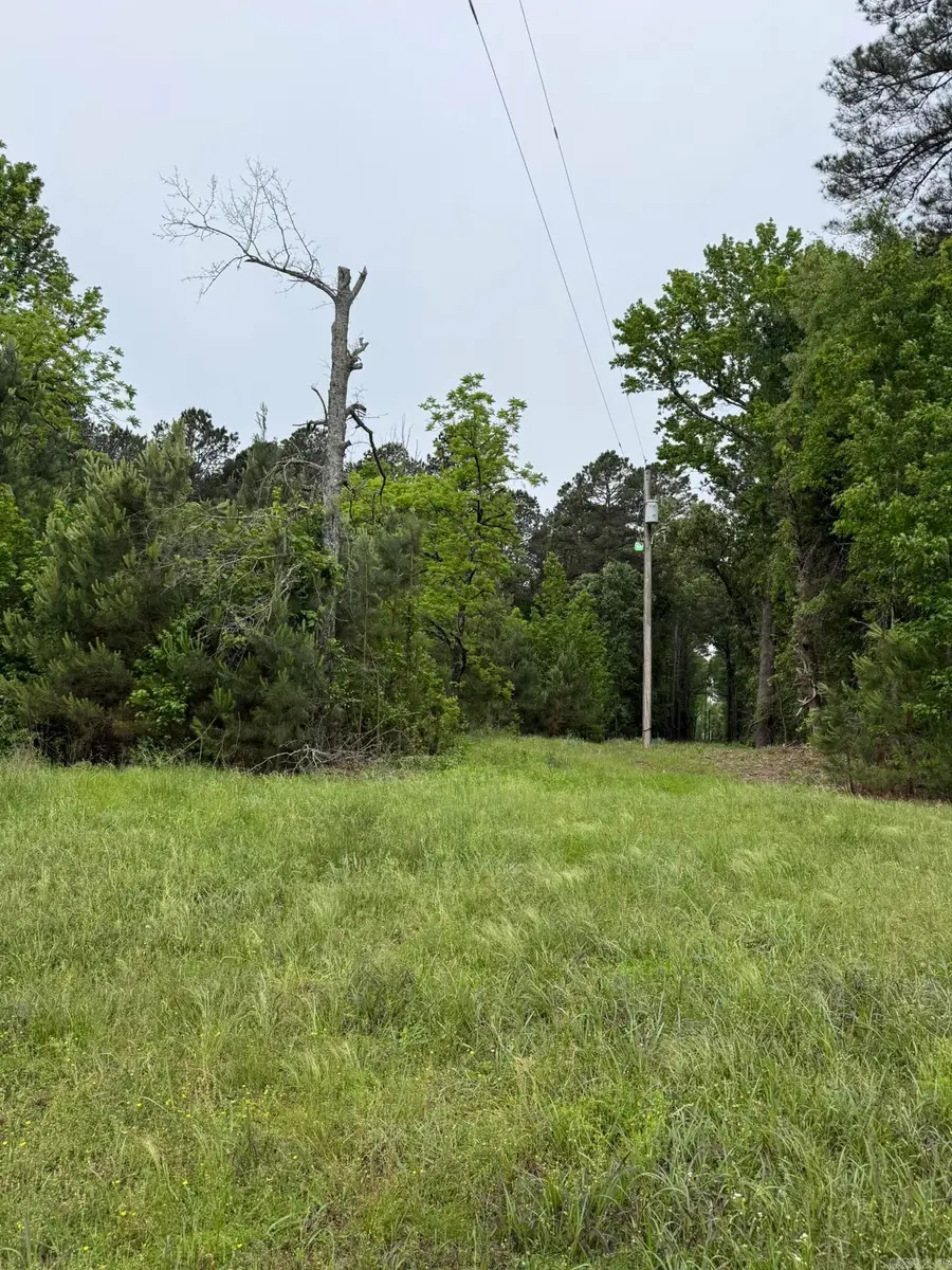 TBD Hwy 278 W, Dierks, AR 71833 - #3