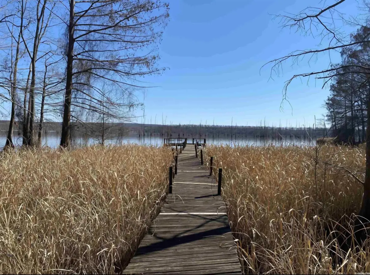 86 Waterfront Cove Cove, Cadron, AR 72023 - #1
