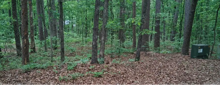 75 Ronquillo Way, Hot Springs Village, AR 71909 - #3
