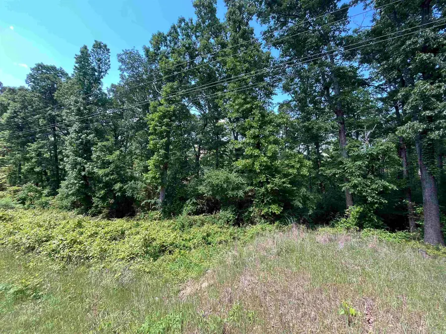 000 Budd Creek Rd., Greers Ferry, AR 72067 - #2