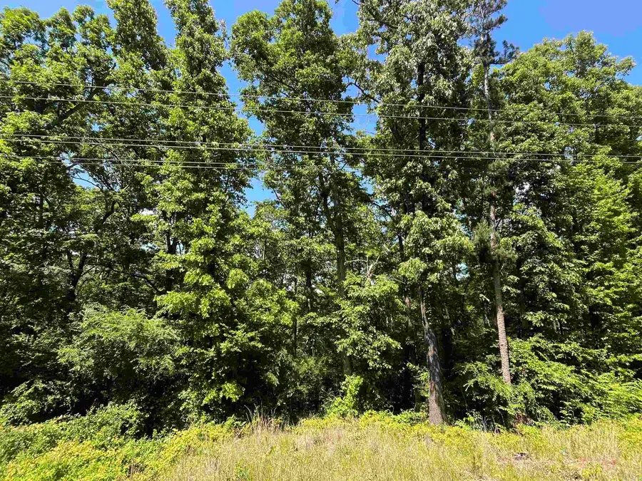 000 Budd Creek Rd., Greers Ferry, AR 72067 - #3