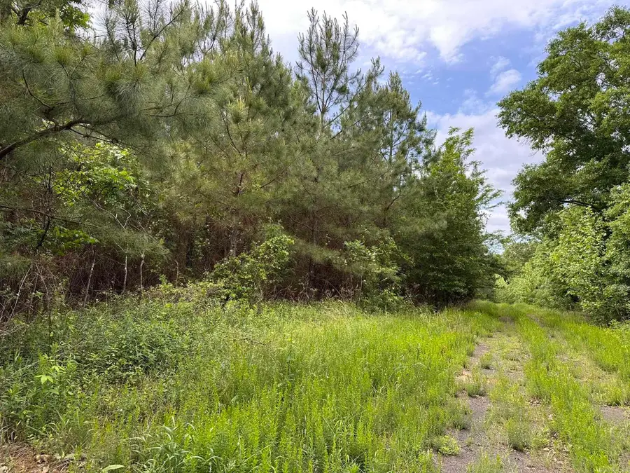 Address Withheld By Seller, Greenbrier, AR 72058 - #3