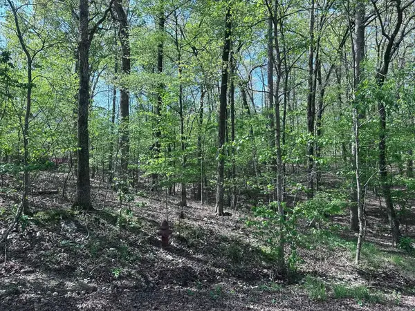 47 Rubi Circle, Hot Springs Village, AR 71909