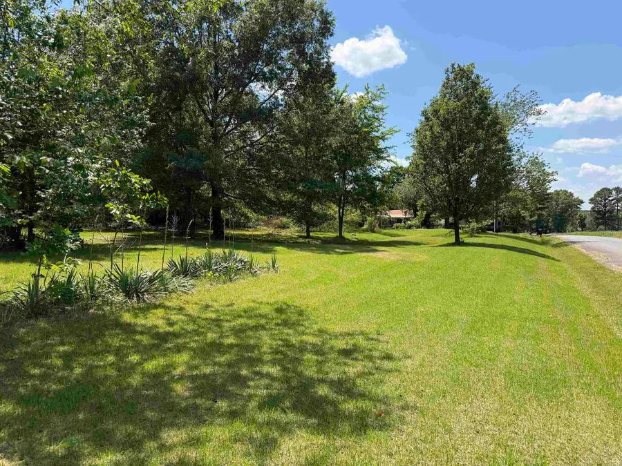99 Johnston, Greers Ferry, AR 72067 - #3