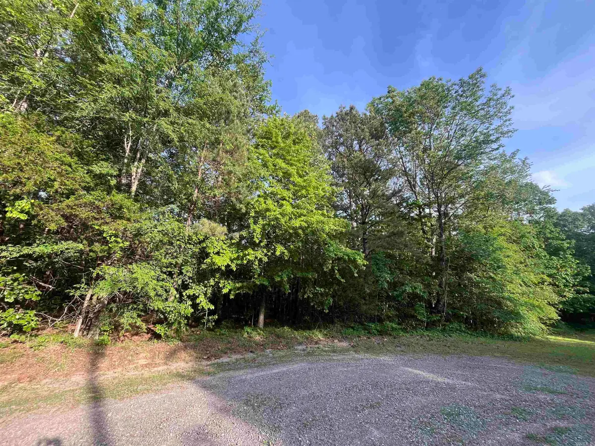 Lot 22 Brown Road, Greers Ferry, AR 72067 - #1
