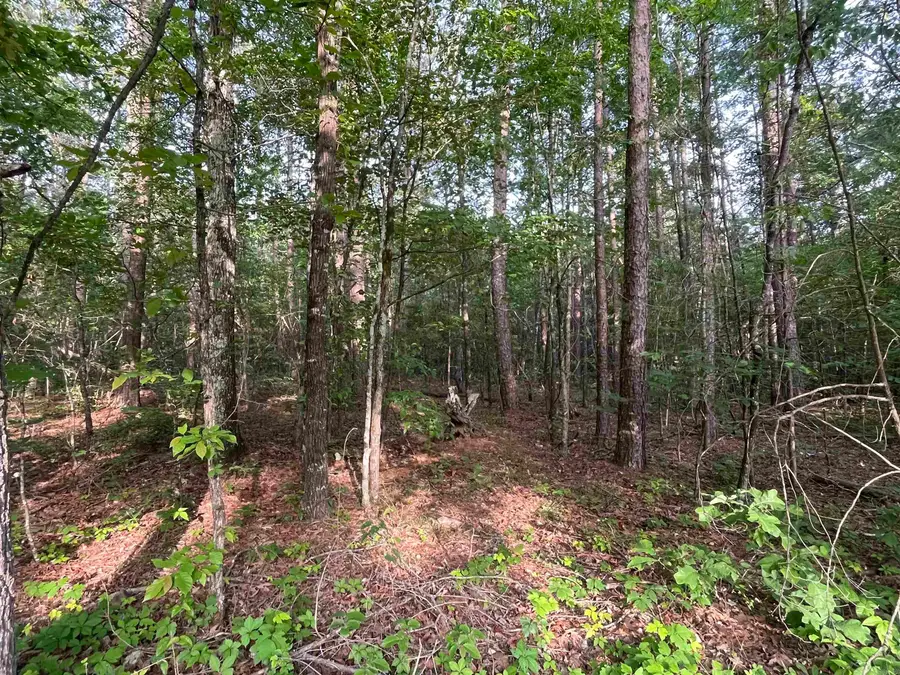 Lot 22 Brown Road, Greers Ferry, AR 72067 - #3