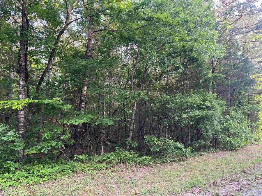 Lot 23 Brown Road, Greers Ferry, AR 72067 - #2
