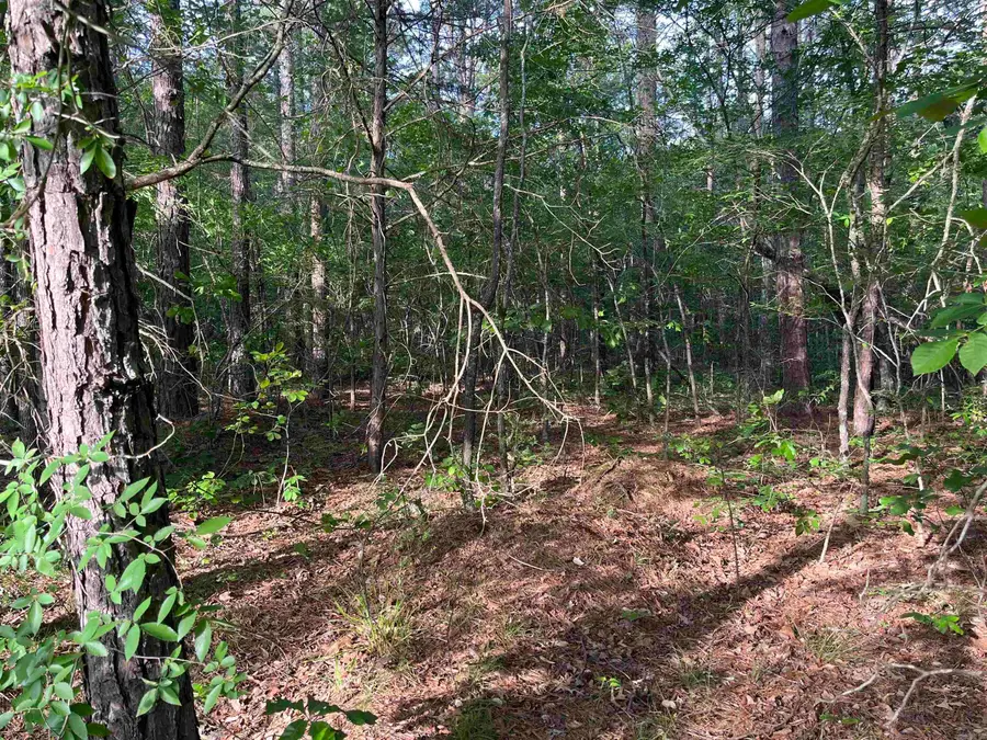 Lot 23 Brown Road, Greers Ferry, AR 72067 - #3