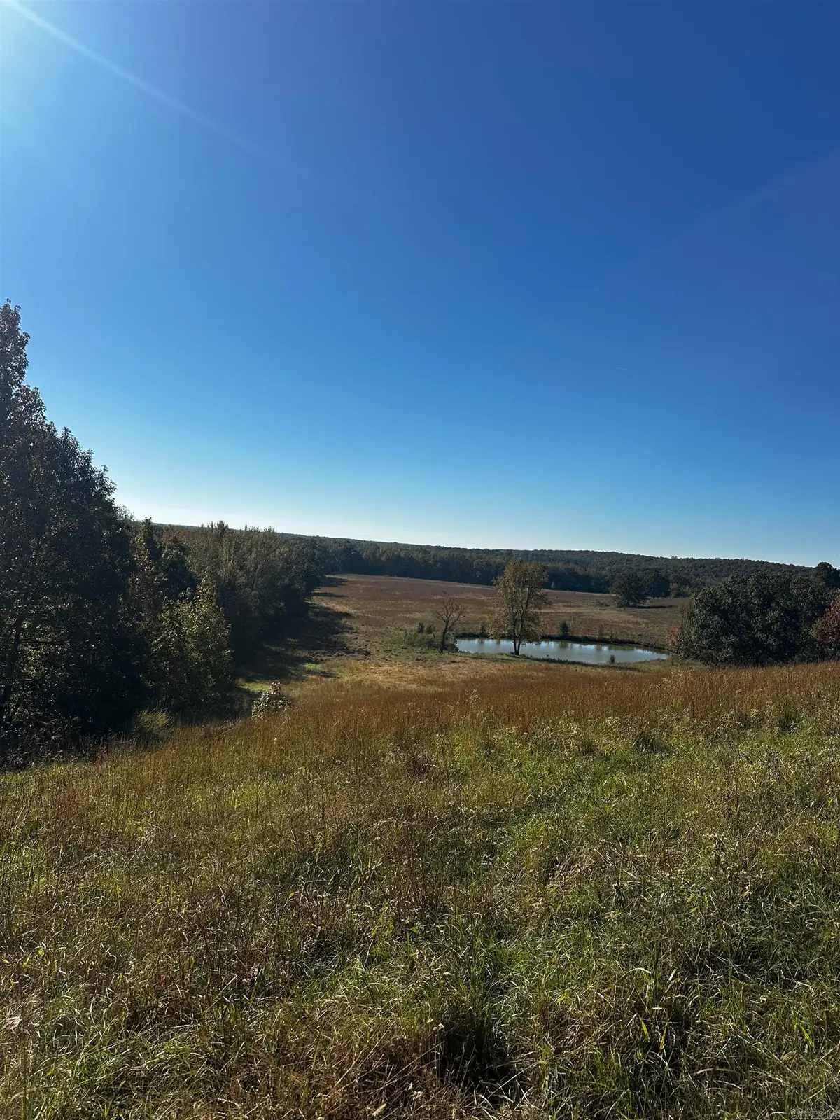 Address Withheld By Seller, McRae, AR 72102 - #1