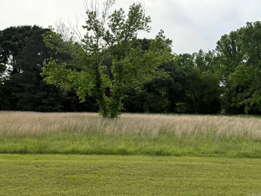 TBD Trenton Blvd., Nashville, AR 71852 - #2