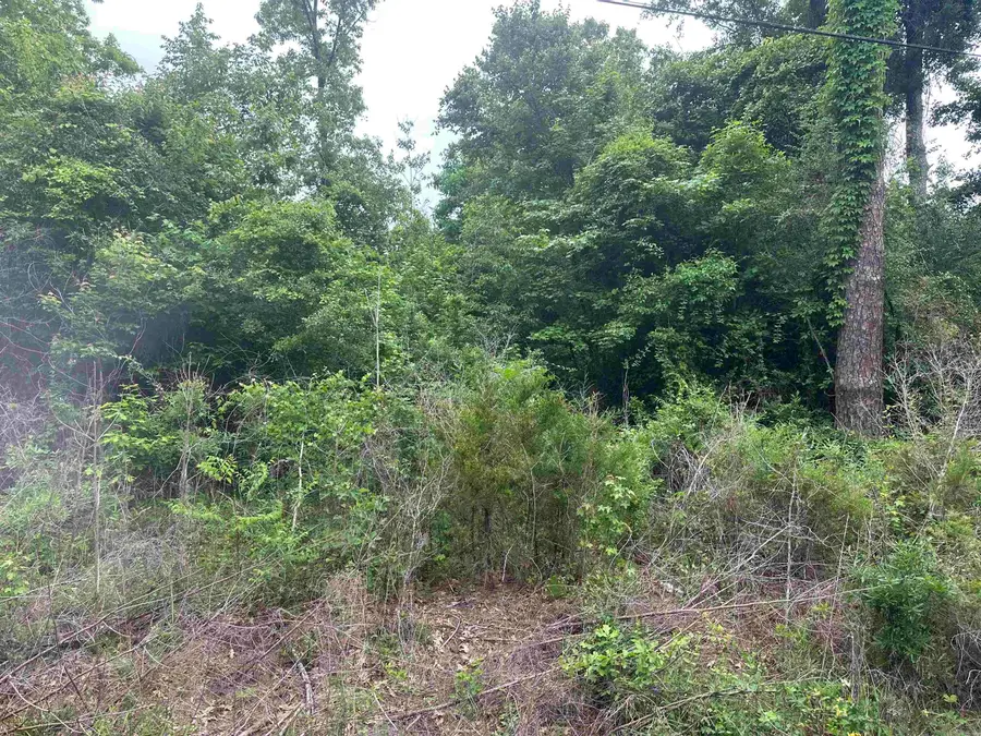 0 Binns Loop, North Crossett, AR 71635 - #3