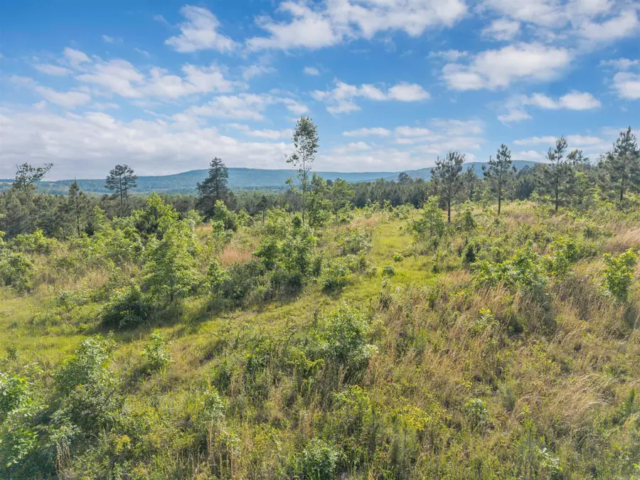 00 Liberty Springs Road, Scotland, AR 72141 - #3