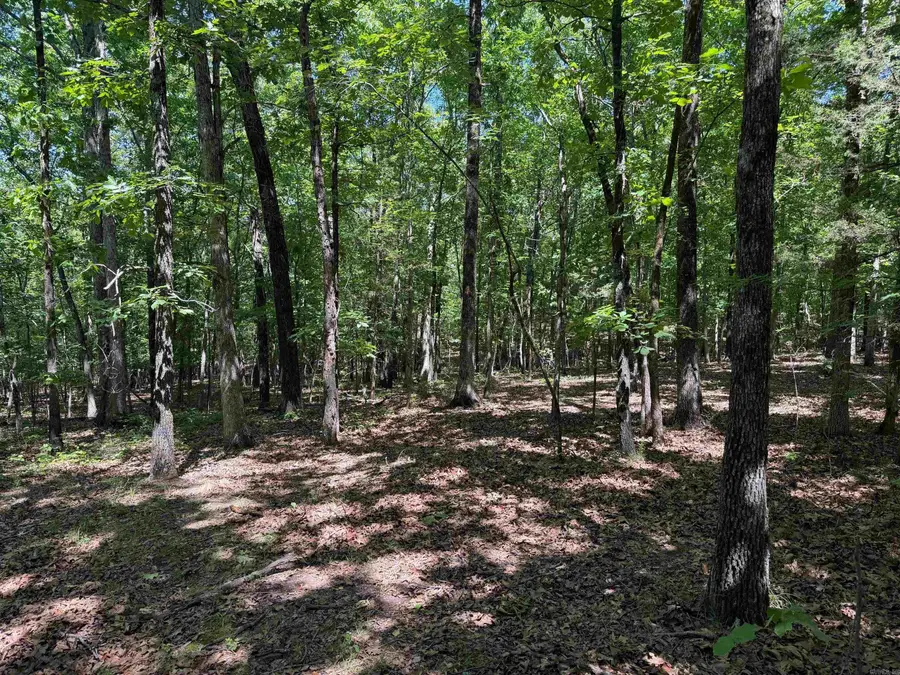 Overlook Dr, Bradford, AR 72020 - #2