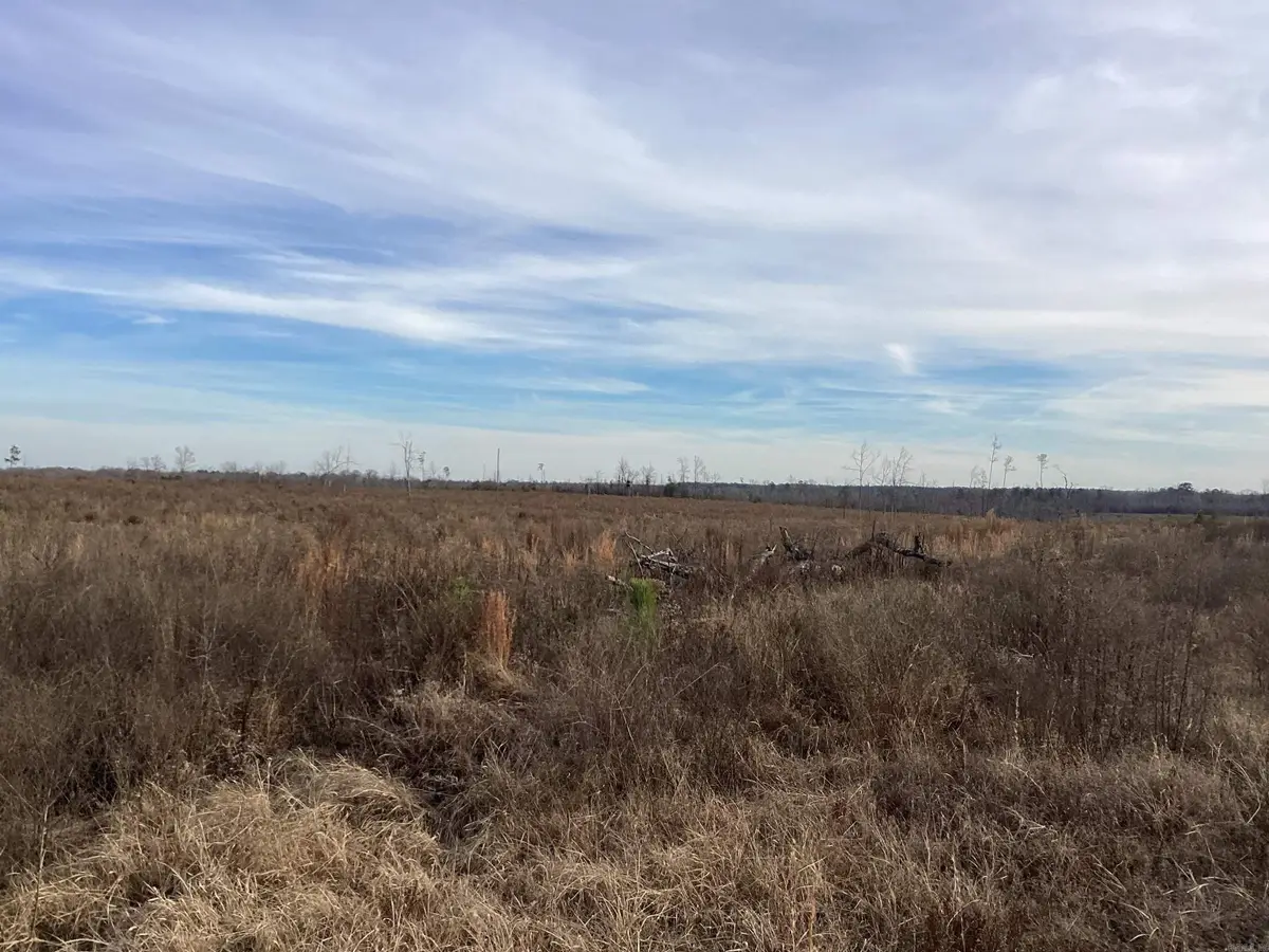 0000 Davidson Campground Road, Okolona, AR 71962 - #1