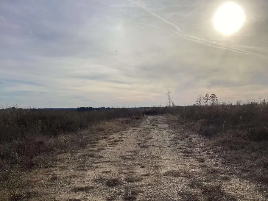 0000 Davidson Campground Road, Okolona, AR 71962 - #3