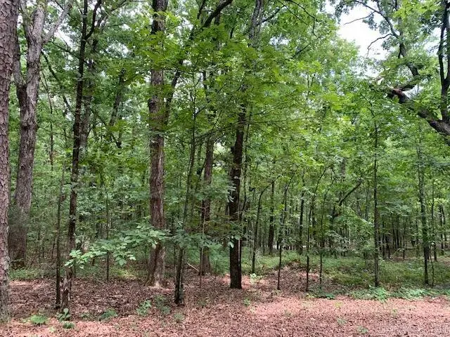 Lots 44 & 45 Lakeview Drive, Heber Springs, AR 72543 - #3