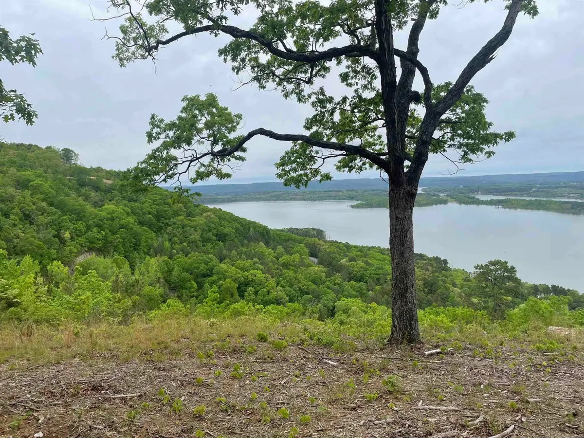 0 Diamond Bluff Road, Quitman, AR 72131 - #1