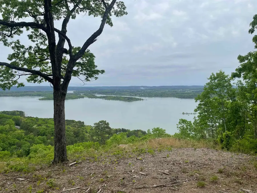 0 Diamond Bluff Road, Quitman, AR 72131 - #2