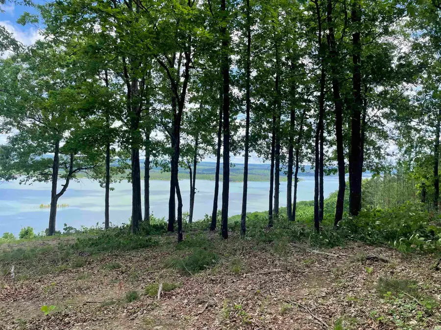 0 Diamond Bluff Road, Quitman, AR 72131 - #3