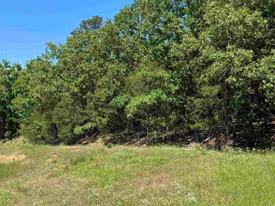 Highway 9, Morrilton, AR 72110 - #2