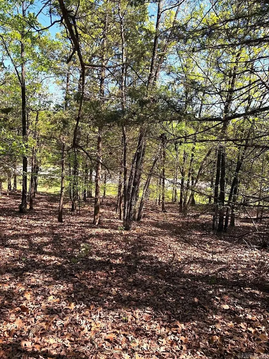 Highway 9, Morrilton, AR 72110 - #3
