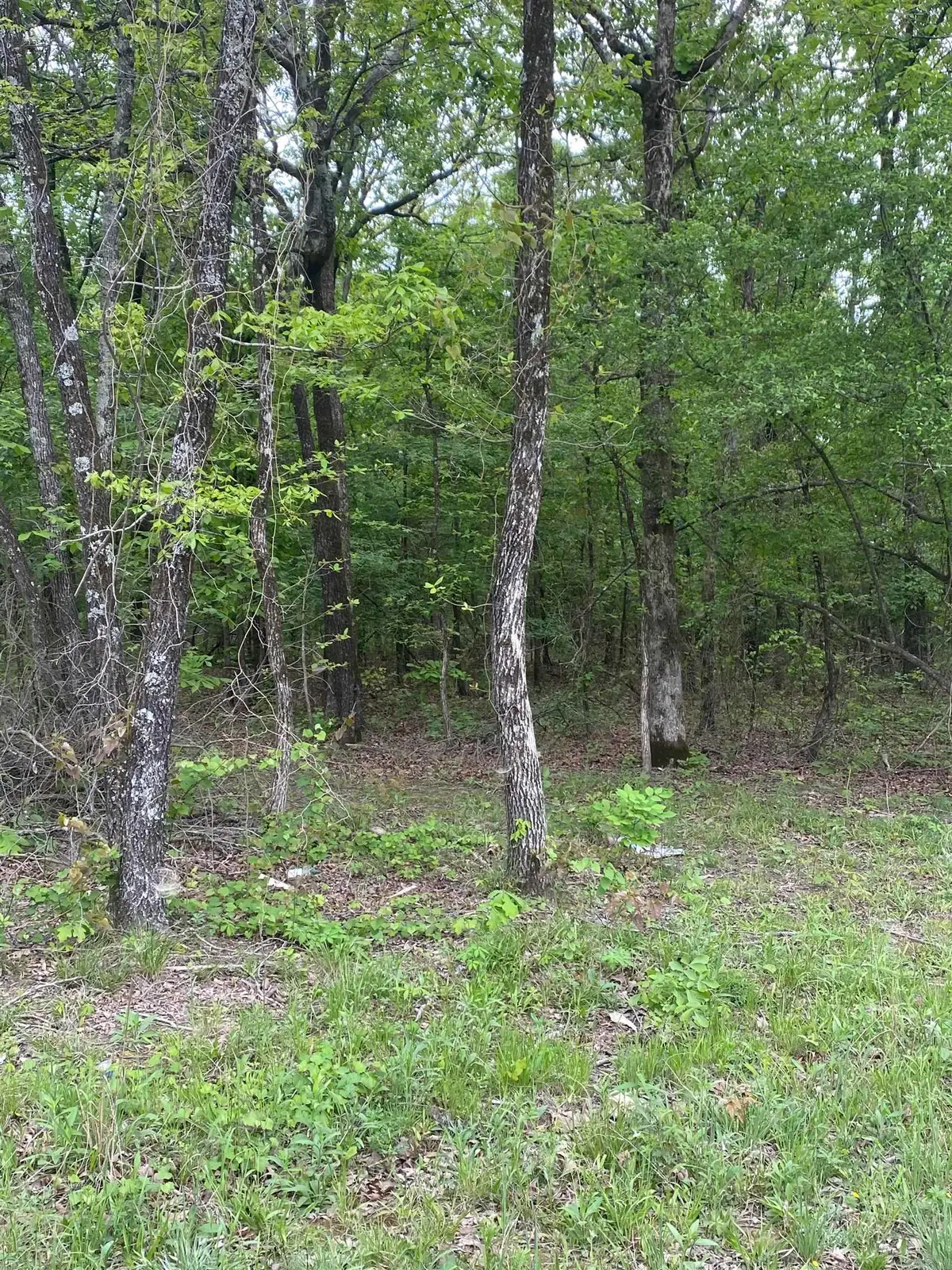 Address Withheld By Seller, Bradford, AR 72020 - #1