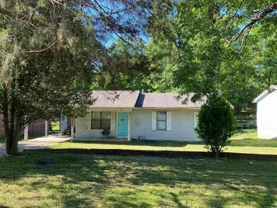 117 Abernathy Street, Mount Ida, AR 71957 - #3
