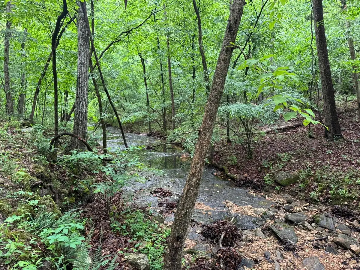 160A S Ar 9 Hwy, Melbourne, AR 72556 - #1