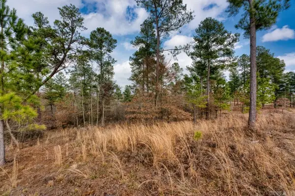 19 Lookout Lane, Kirby, AR 71950