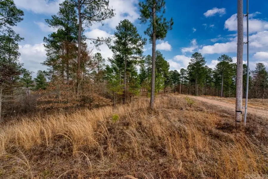 19 Lookout Lane, Kirby, AR 71950 - #2