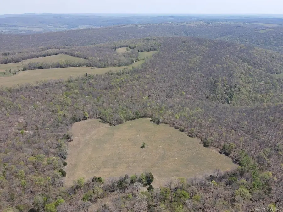 TBD Liberty Road, Leslie, AR 72645 - #2