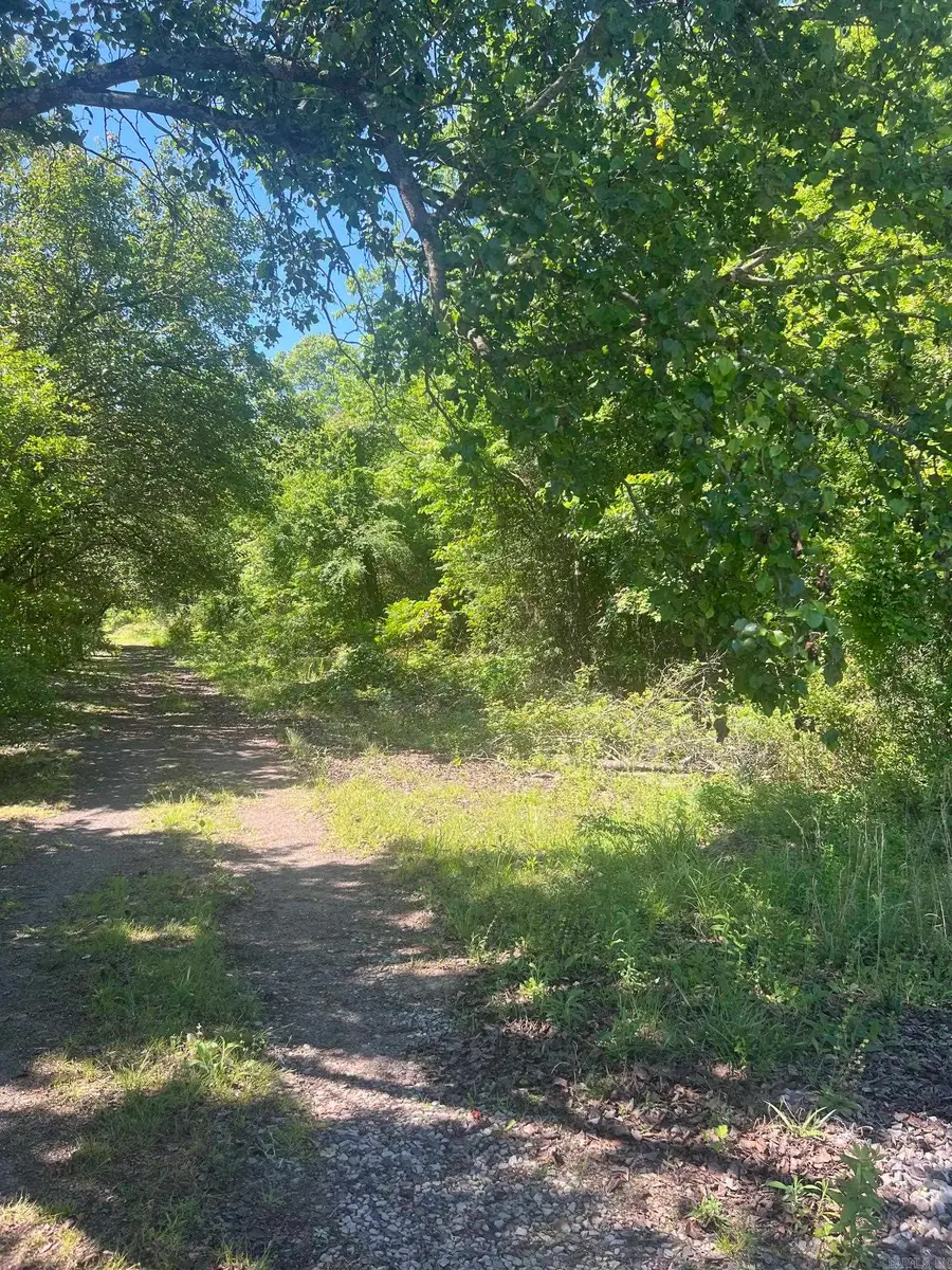 16 Caney Meadows Dr, Plumerville, AR 72127 - #3