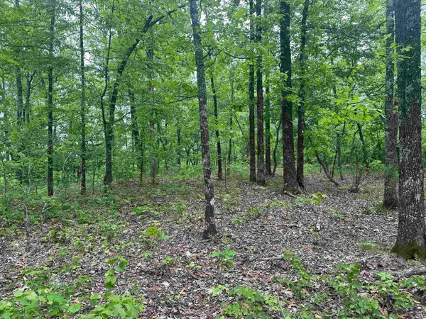000 Holly Mtn Rd, Clinton, AR 72031