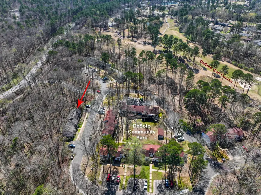 128 Emperado Way, Hot Springs Village, AR 71909 - #3